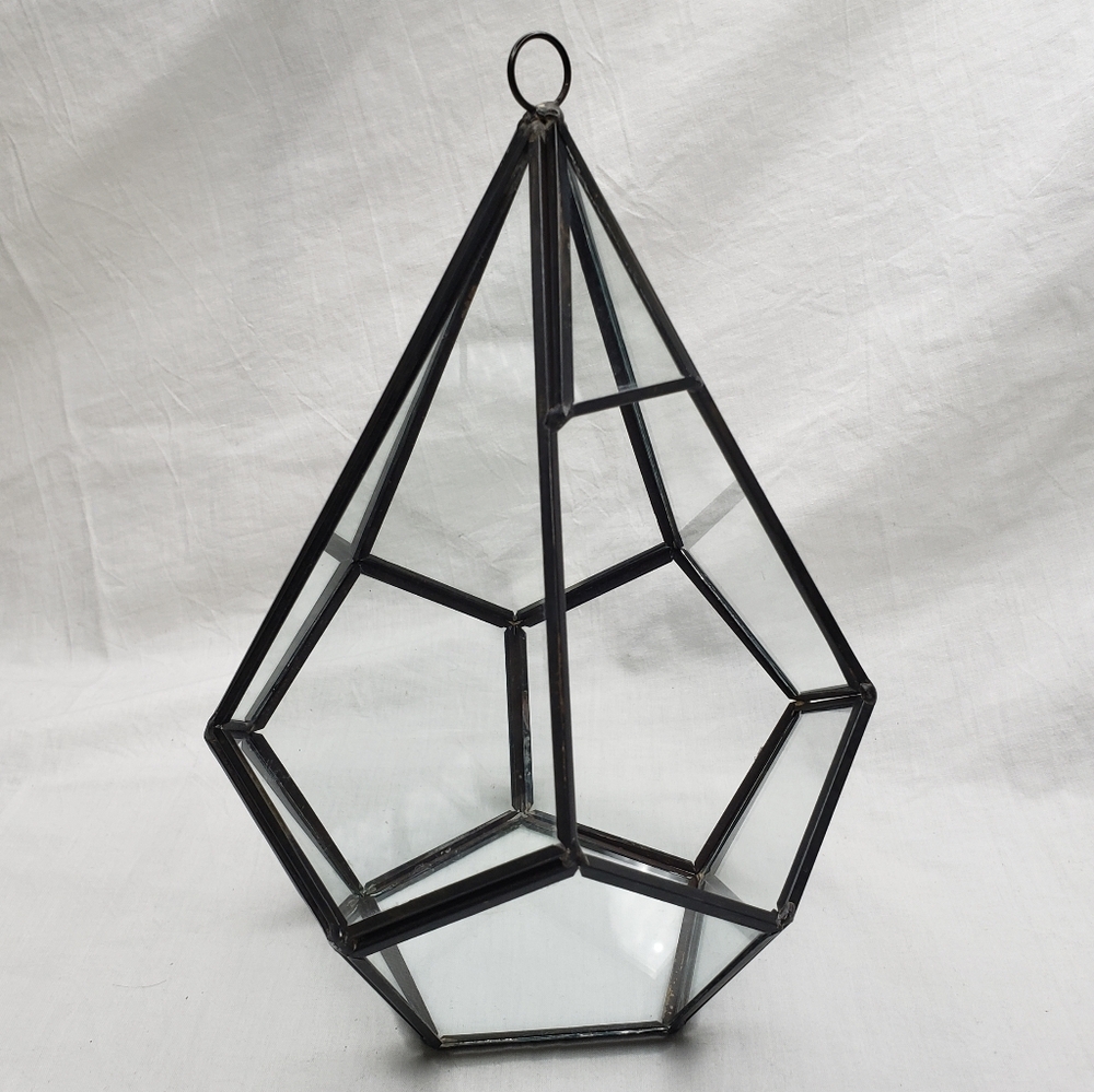 Geometric Glass Terrarium with Black Frame